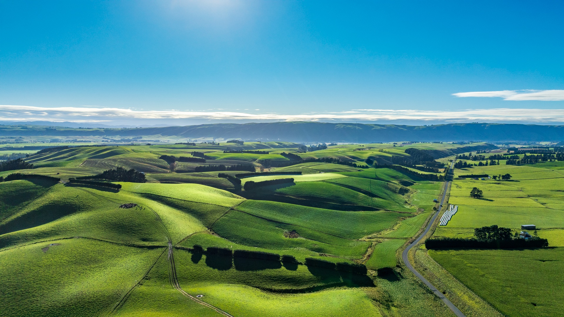 Rural country road winfing its way through agriculture and farm land in the heartland of the South Island NZ