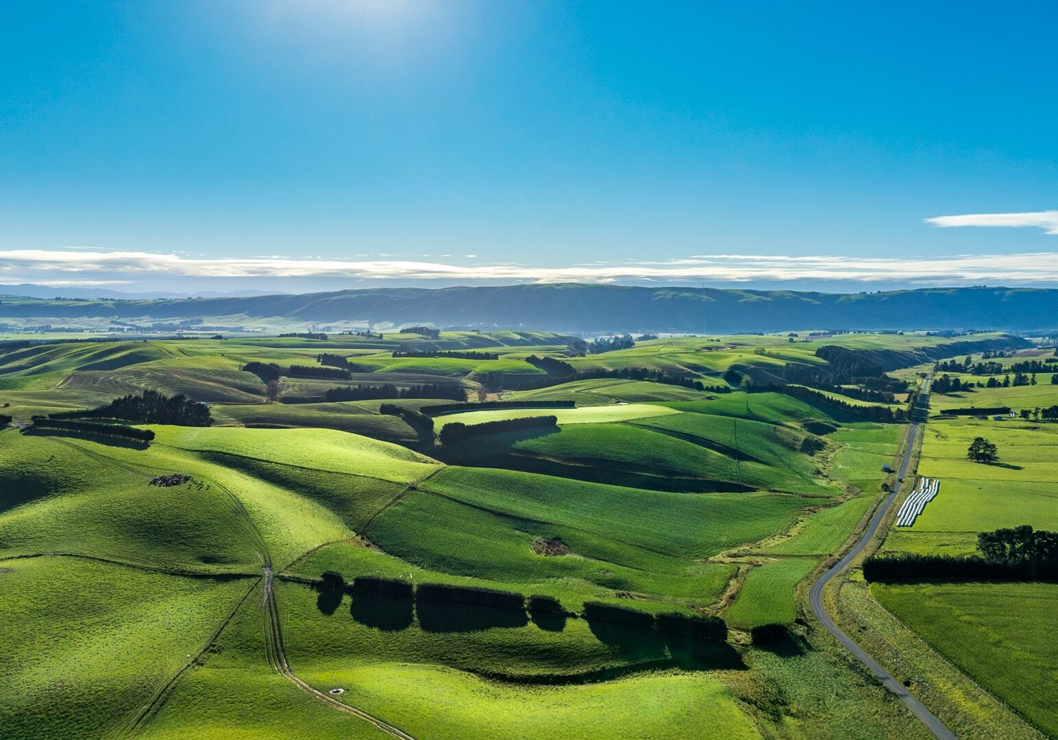 Rural country road winfing its way through agriculture and farm land in the heartland of the South Island NZ